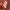 Adidas Sportswear Casual Sneakers Wanita white red photo 4