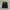 Beverly Hills Polo Club Casual Windbreaker Pria navy photo 2