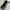 ZARA Casual Shoulder bag Wanita black photo 2