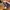 Converse Streetwear Casual Sneakers Wanita purple photo 4