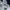 Polo Ralph Lauren Casual Polo shirt Pria white navy photo 7
