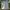Adidas Y2K Sportswear T-shirt Pria white photo 1