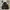 Indie Minimalist Puffer jacket Pria black photo 4
