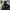 Indie Minimalist Puffer jacket Pria black photo 2