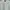 Polo Ralph Lauren Casual T-shirt Pria white green photo 4