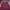 Minimalist Going Out Dress Wanita Burgundy
