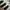 Adidas Indie Casual Sneakers Wanita white black photo 3