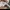 Nike Gorpcore Casual Sneakers Pria white photo 8