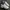 Nike Gorpcore Casual Sneakers Pria white photo 3