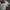 Nike Gorpcore Casual Sneakers Pria white photo 6