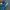 The North Face Gorpcore Sneakers Pria blue yellow photo 5
