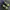 The North Face Gorpcore Sneakers Pria blue yellow photo 4