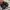 VANS Indie Casual Sneakers Pria tan black photo 6