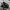 VANS Indie Casual Sneakers Pria tan black photo 3