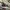 VANS Indie Casual Sneakers Pria white black photo 1