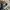 VANS Indie Casual Sneakers Pria white black photo 4