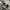 VANS Indie Casual Sneakers Pria white black photo 2
