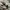 VANS Indie Casual Sneakers Pria white black photo 1