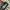 VANS Gorpcore Casual Sneakers Pria white black photo 4
