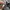 VANS Gorpcore Casual Sneakers Pria white black photo 7