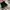 VANS Gorpcore Casual Sneakers Pria black photo 4