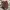VANS Gorpcore Casual Sneakers Pria black photo 5