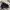 VANS Gorpcore Casual Sneakers Pria black photo 2
