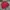 Vintage Streetwear T-shirt Pria red photo 5