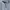 Polo Ralph Lauren Casual Polo shirt Pria cream photo 3