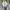 New Balance Streetwear Sneakers Pria gray photo 5