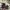 VANS Gorpcore Casual Sneakers Pria White Black