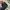 VANS Gorpcore Casual Sneakers Pria white black photo 4