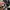 VANS Gorpcore Casual Sneakers Pria white black photo 7