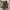 VANS Gorpcore Casual Sneakers Pria white black photo 6