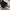 VANS Gorpcore Casual Sneakers Pria white black photo 5