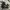 VANS Gorpcore Casual Sneakers Pria white black photo 2