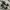 VANS Gorpcore Casual Sneakers Pria white black photo 3