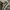 VANS Indie Casual Sneakers Pria white gray photo 2