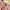 H&M Casual Crop Top Wanita Pink