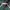 WHO.A.U Casual Hoody Pria green photo 2