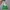 Casual Clutch Wanita green photo 4