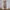 Minimalist Prom dress Wanita pink photo 2