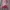 Vintage Jumpsuit Wanita pink photo 3
