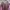 Minimalist Wanita multicolor white pink photo 4