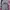Minimalist Wanita multicolor white pink photo 8