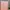 ORIGINAL BTS - PERSONA VERSION 1 photo 7