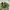 ZARA Casual Sweatpants & Joggers Pria green photo 8
