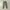 ZARA Casual Sweatpants & Joggers Pria green photo 2