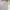 Luxury Casual Maxi dress Wanita gray photo 5