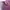 Casual Maxi dress Wanita purple photo 8